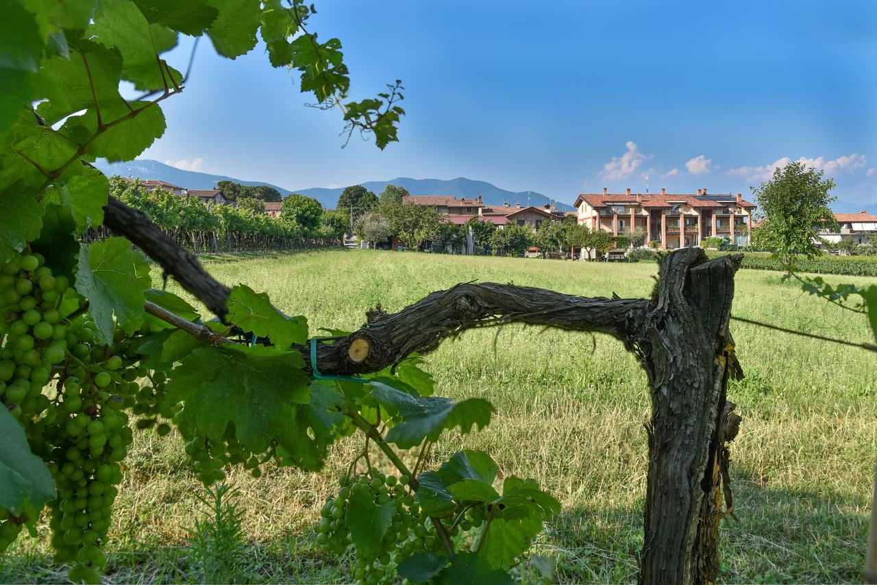 La Terrazza Sulle Vigne