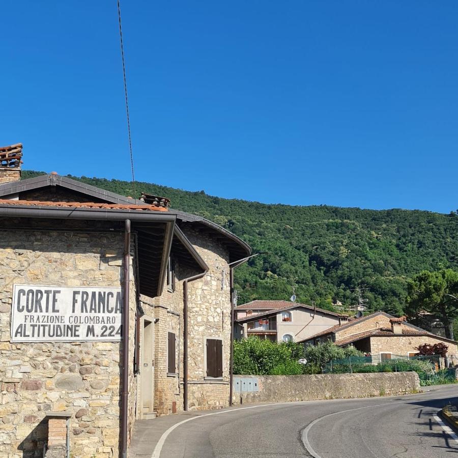 La Terrazza Sulle Vigne